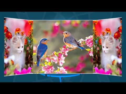 Free adult dating camden south carolina, funny online dating profile example