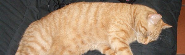 Post image for How to Prevent a Sedentary Lifestyle After College