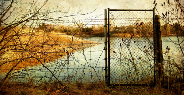 Post image for What Big Dreams Are You Afraid to Have?