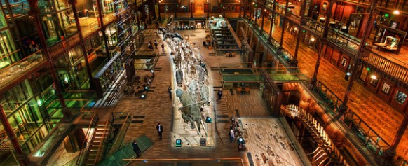 Post image for How to Get Shit Done When You Have a Huge To Do List