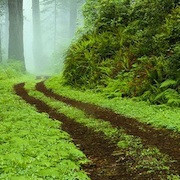 Thumbnail image for Why Success Always Starts With Failure