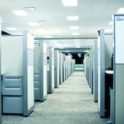 Thumbnail image for Ask the Readers: Why Do You Want To Be A Cubicle Renegade?