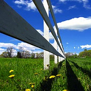 Thumbnail image for Complacency, Settling, and “I’m Fine, Thanks”