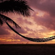 Thumbnail image for Reader Story: What They DON’T Tell You About Online Business