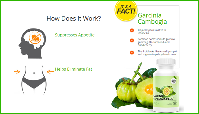 Garcinia Cambogia Plus reviews