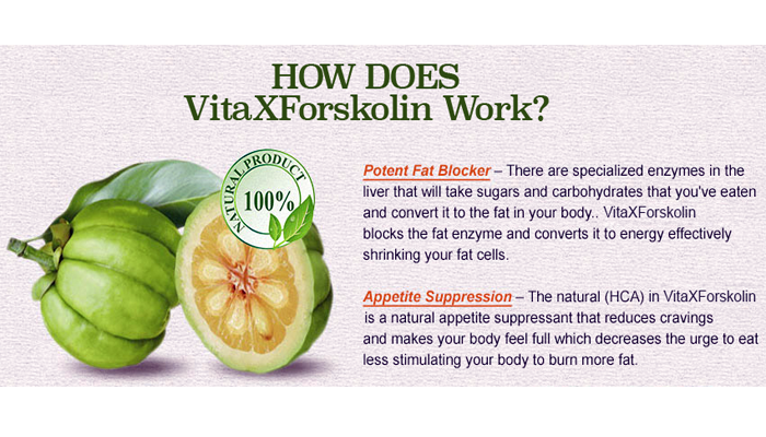 VitaX Forskolin ingredients