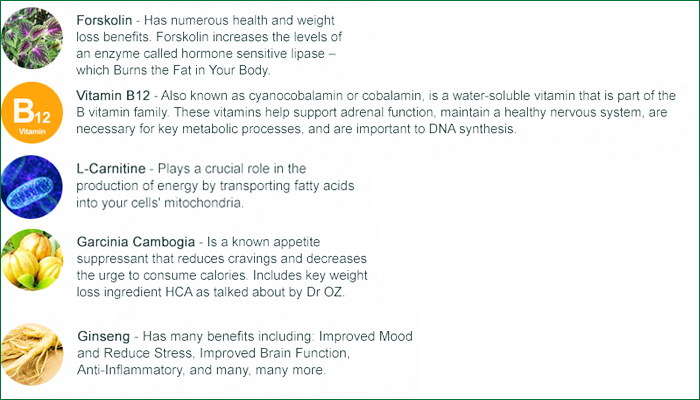 Rapid Tone Diet Ingredients